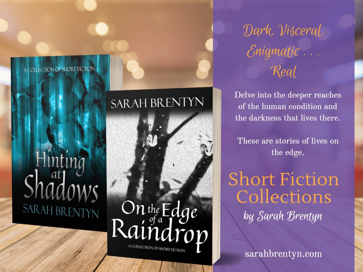 3D book images of Hinting at Shadows and On the Edge of a Raindrop by Sarah Brentyn and brief book descriptions