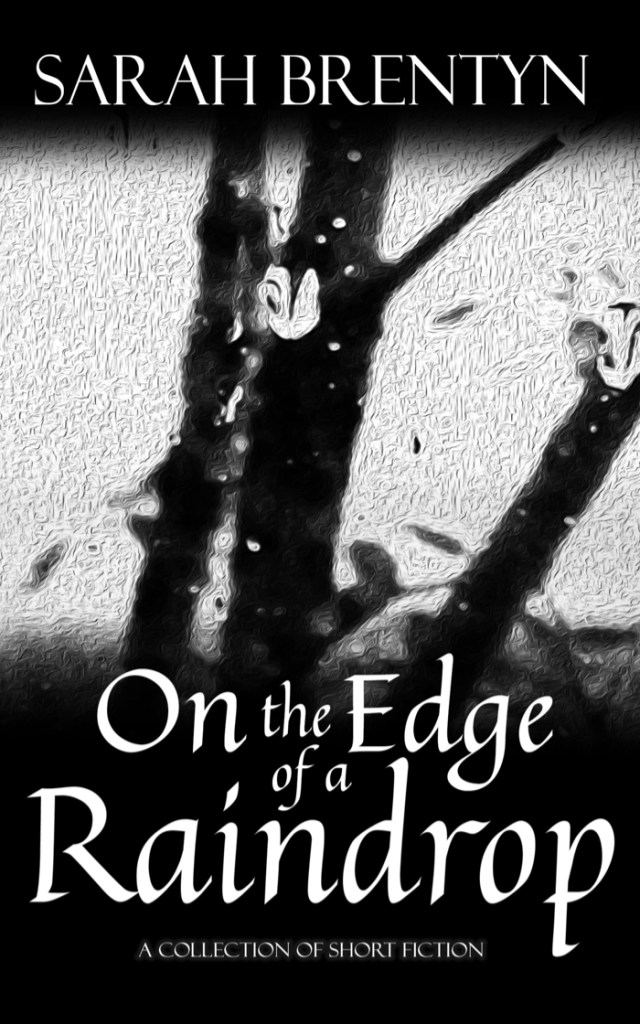 Book cover for On the Edge of a Raindrop by Sarah Brentyn