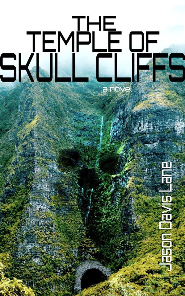 Book cover of a skull-like face in a sheer mountainside