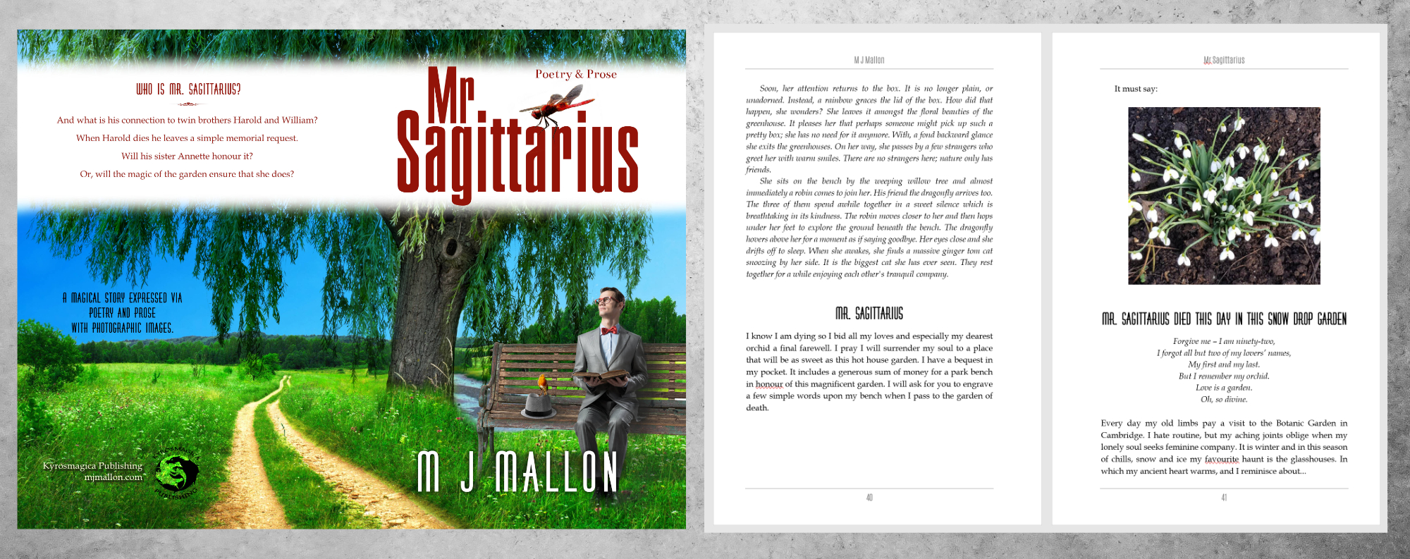 Example image of book Mr Sagittarius by M J Mallon