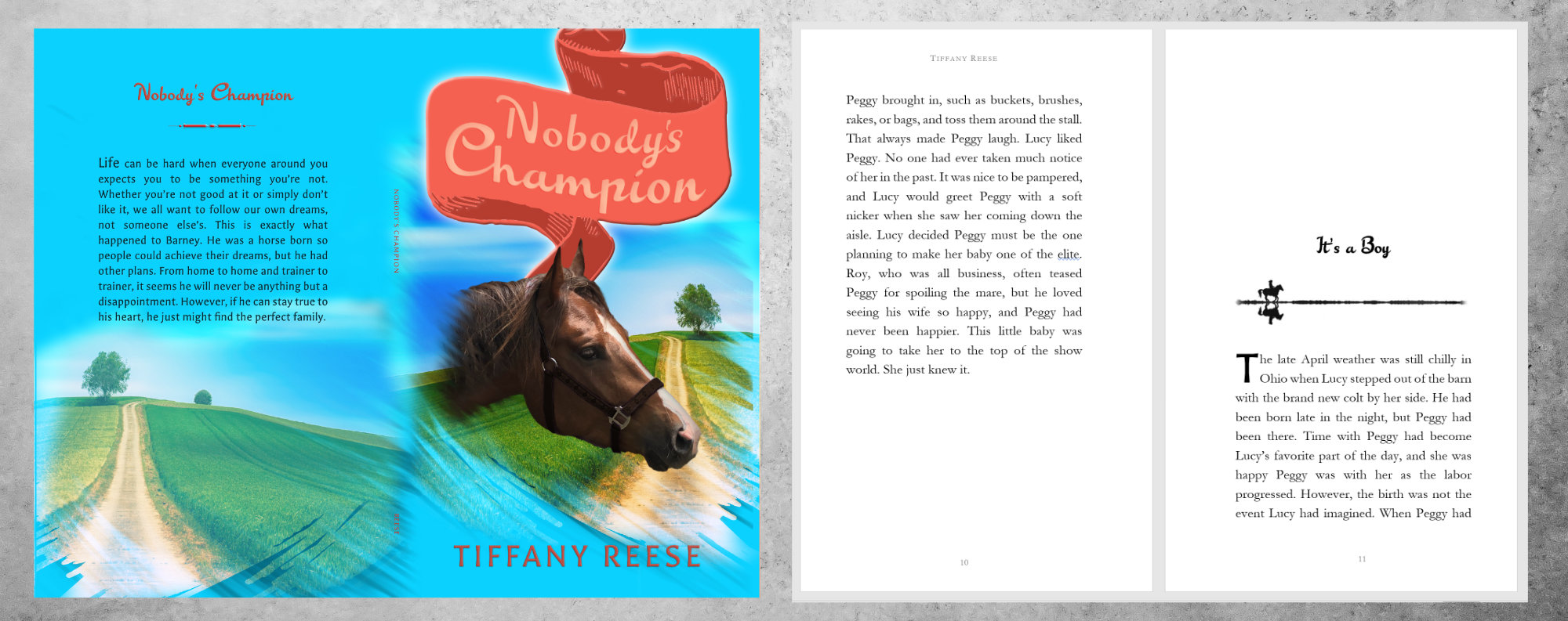 Example image of book Nobody's Champion by Tiffany Reese